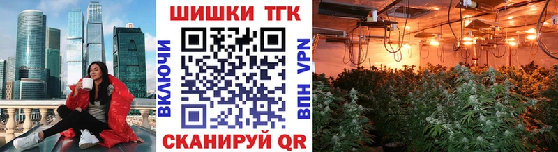Альфа ПВП Грозный