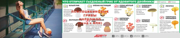 дмт Ладушкин