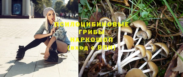 дмт Ладушкин