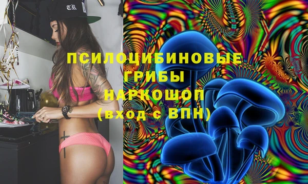 дмт Ладушкин