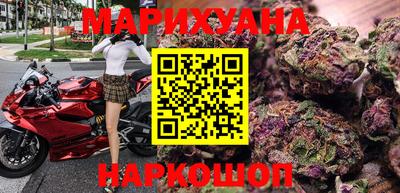 шишки Аргун