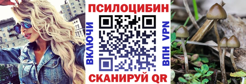Галлюциногенные грибы ЛСД Грозный