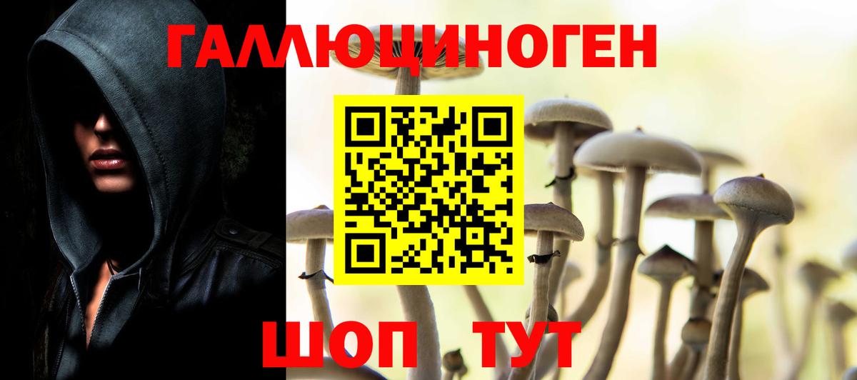 Галлюциногенные грибы Psilocybine cubensis  Псилоцибиновые грибы ЛСД  цены   Вход с VPN  Грозный 